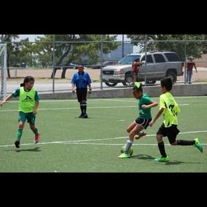 Meet your Posher, Desiree